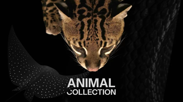 Коллекция Animal: новое слово в декоративном искусстве