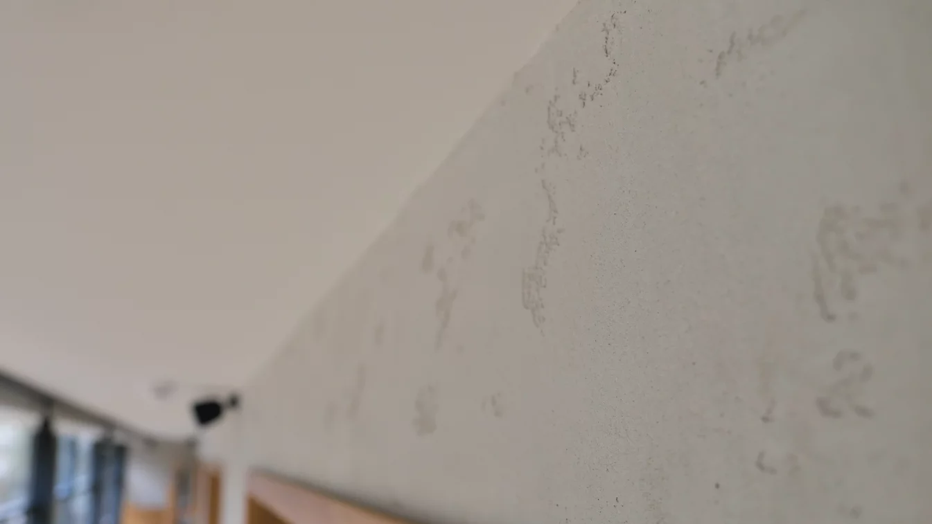 прмер в интерьере